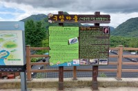 귀사모의 섬진강 김용택 시인과 함께 진메에서 구담까지